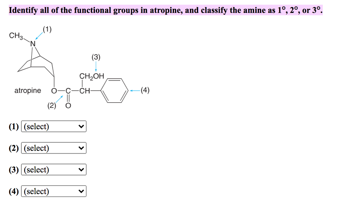 Identify all of the functional groups in atropine, and classify the amine as 1°, 2°, or 3º.
(1)
CH3.
`N
(3)
CH,OH
atropine
CH-
-(4)
(2)
(1) (select)
(2) (select)
(3) (select)
(4) (select)
