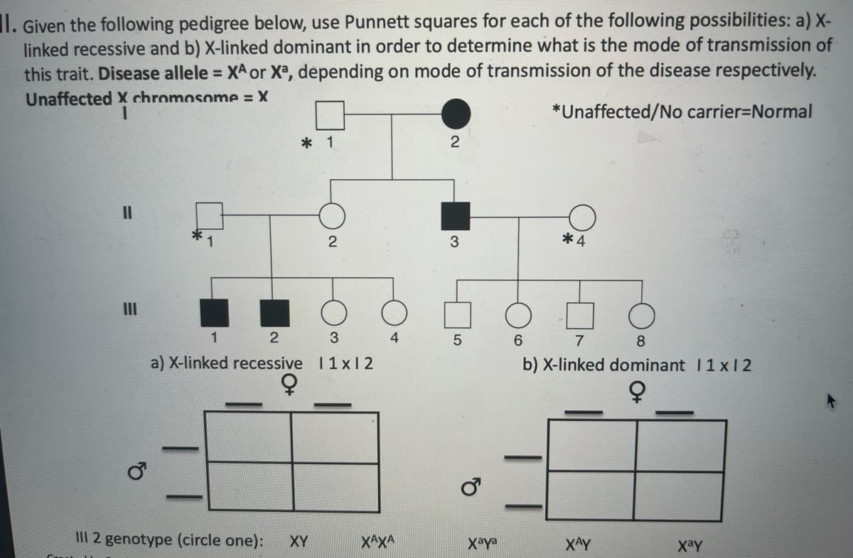 1. Given the following pedigree below, use Punnett squares for each of the following possibilities: a) X-
linked recessive and b) X-linked dominant in order to determine what is the mode of transmission of
this trait. Disease allele = XA or Xa, depending on mode of transmission of the disease respectively.
*Unaffected/No carrier-Normal
Unaffected X chromosome = X
I
11
* 1
2
1
2
3
a) X-linked recessive 11x12
III 2 genotype (circle one): XY
4
XAXA
2
3
5
Xaya
*4
6
7
8
b) X-linked dominant 11x12
XAY
Xay