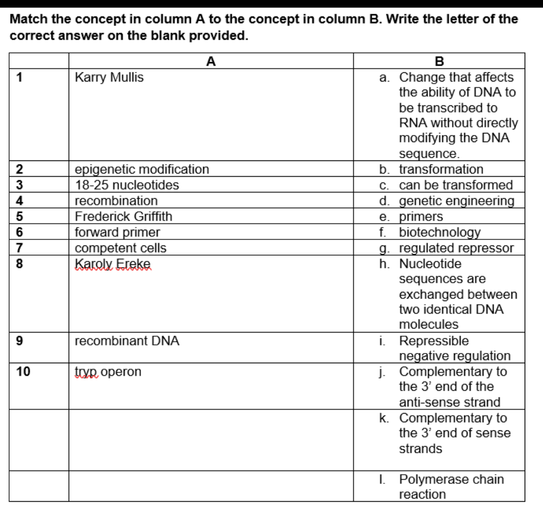 Match the concept in column A to the concept in column B. Write the letter of the
correct answer on the blank provided.
A
В
a. Change that affects
the ability of DNA to
be transcribed to
1
Karry Mullis
RNA without directly
modifying the DNA
sequence.
b. transformation
epigenetic modification
18-25 nucleotides
C. can be transformed
d. genetic engineering
e. primers
f. biotechnology
g. regulated repressor
h. Nucleotide
3
4
recombination
Frederick Griffith
forward primer
competent cells
Karoly Ereke
6
7
8
sequences are
exchanged between
two identical DNA
molecules
i. Repressible
negative regulation
j. Complementary to
the 3' end of the
recombinant DNA
10
tryp operon
anti-sense strand
k. Complementary to
the 3' end of sense
strands
I. Polymerase chain
reaction
