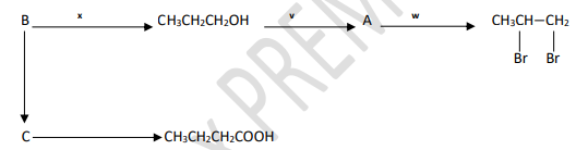 B
CH;CH2CH2OH
CH;CH-CH2
PREM
Br
Br
CH3CH2CH2COOH
