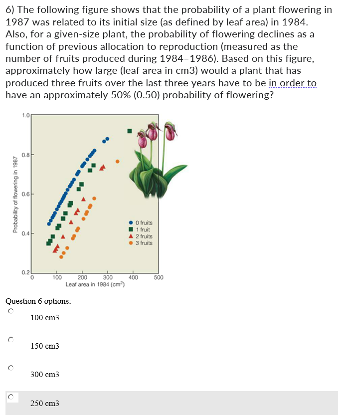 6) The following figure shows that the probability of a plant flowering in
1987 was related to its initial size (as defined by leaf area) in 1984.
Also, for a given-size plant, the probability of flowering declines as a
function of previous allocation to reproduction (measured as the
number of fruits produced during 1984-1986). Based on this figure,
approximately how large (leaf area in cm3) would a plant that has
produced three fruits over the last three years have to be in order to
have an approximately 50% (0.50) probability of flowering?
Probability of flowering in 1987
1.0
0.8
0.6
0.4
0.2
00000
*****
AM
100
Question 6 options:
100 cm3
150 cm3
300 cm3
250 cm3
00
..
200
300
Leaf area in 1984 (cm²)
O fruits
1 fruit
▲ 2 fruits
3 fruits
400
500