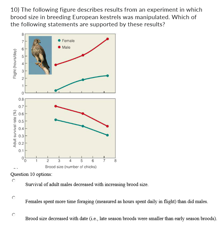 10) The following figure describes results from an experiment in which
brood size in breeding European kestrels was manipulated. Which of
the following statements are supported by these results?
Flight (hours/day)
Adult survival rate (%)
007
CO
10
3
cu
1
0
0.8
0.7
0.6
0.5
0.4
0.3
0.2
0.1
T
1
Female
Question 10 options:
• Male
2
3
4 5
6
Brood size (number of chicks)
1
7
Survival of adult males decreased with increasing brood size.
Females spent more time foraging (measured as hours spent daily in flight) than did males.
Brood size decreased with date (i.e., late season broods were smaller than early season broods).