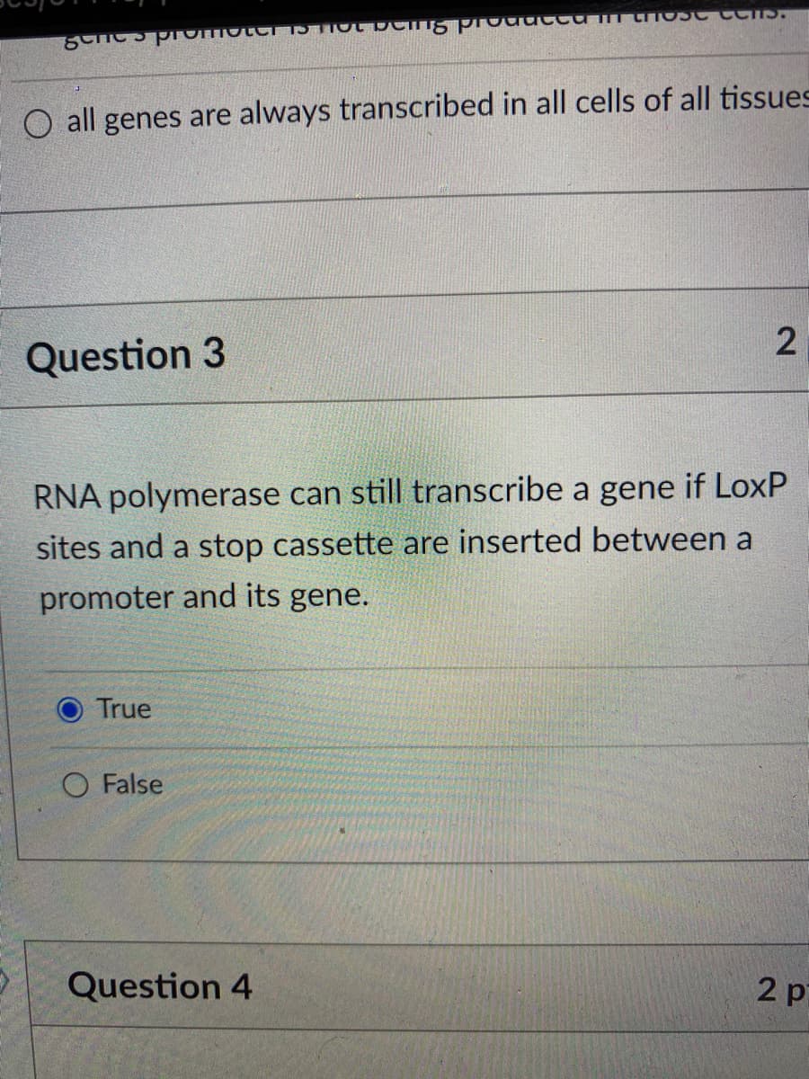ot beng proddt
O all genes are always transcribed in all cells of all tissues
2
Question 3
RNA polymerase can still transcribe a gene if LoxP
sites and a stop cassette are inserted between a
promoter and its gene.
O True
O False
Question 4
2 p
