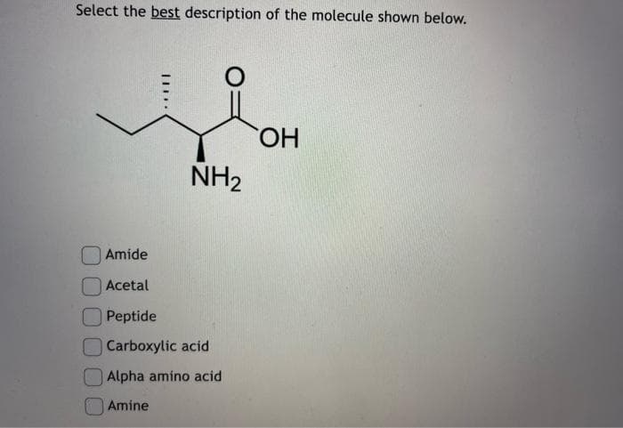 Select the best description of the molecule shown below.
III..
NH₂
Amide
Acetal
Peptide
Carboxylic acid
Alpha amino acid
Amine
OH