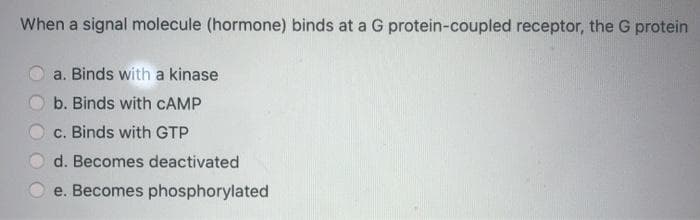 When a signal molecule (hormone) binds at a G protein-coupled receptor, the G protein
a. Binds with a kinase
b. Binds with CAMP
c. Binds with GTP
d. Becomes deactivated
e. Becomes phosphorylated
