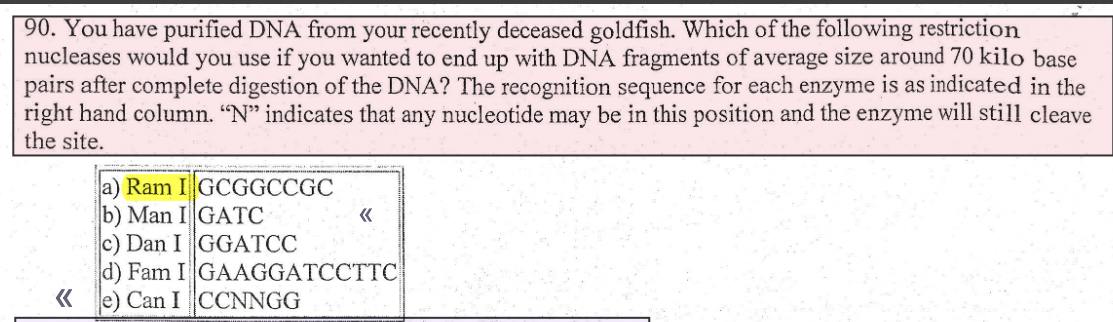 90. You have purified DNA from your recently deceased goldfish. Which of the following restriction
nucleases would you use if you wanted to end up with DNA fragments of average size around 70 kilo base
pairs after complete digestion of the DNA? The recognition sequence for each enzyme is as indicated in the
right hand column. "N" indicates that any nucleotide may be in this position and the enzyme will still cleave
the site.
«<
a) Ram I GCGGCCGC
b) Man I GATC
c) Dan I
d) Fam I
e) Can I
«<
GGATCC
GAAGGATCCTTC
CCNNGG