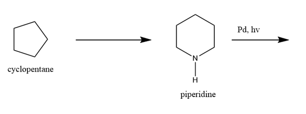 Pd, hv
cyclopentane
piperidine
