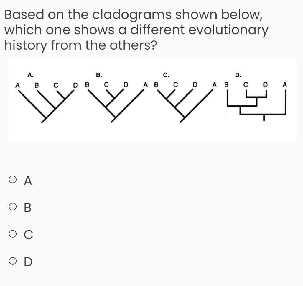 Based on the cladograms shown below,
which one shows a different evolutionary
history from the others?
A.
В.
С.
D.
A
C
D B
C
D
A B
AB C D
A
O A
C
O D
