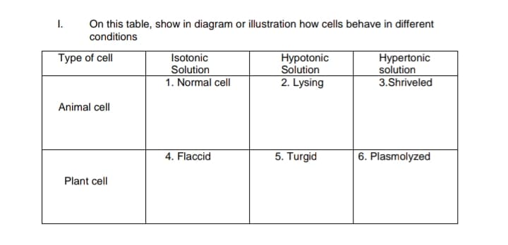 I.
On this table, show in diagram or illustration how cells behave in different
conditions
Hypotonic
Solution
2. Lysing
Hypertonic
solution
3.Shriveled
Type of cell
Isotonic
Solution
1. Normal cell
Animal cell
4. Flaccid
5. Turgid
|6. Plasmolyzed
Plant cell
