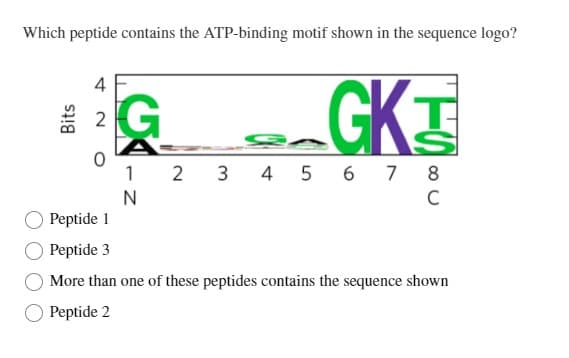 Which peptide contains the ATP-binding motif shown in the sequence logo?
Bits
2
0
GKT
1 2 3 4 5 6 7 8
N
C
G
Peptide 1
Peptide 3
More than one of these peptides contains the sequence shown
Peptide 2