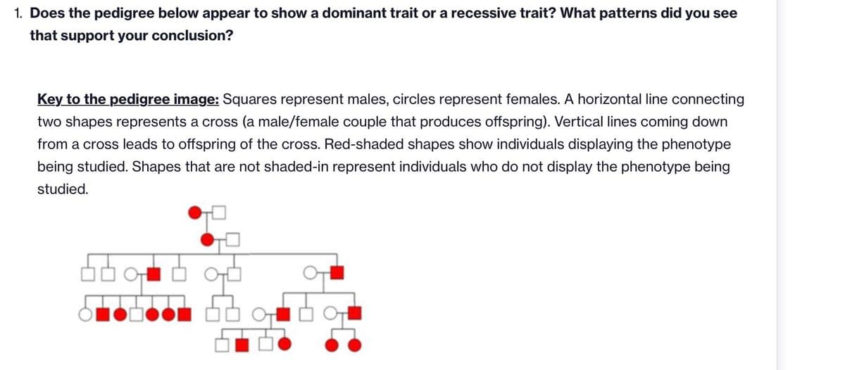 1. Does the pedigree below appear to show a dominant trait or a recessive trait? What patterns did you see
that support your conclusion?
Key to the pedigree image: Squares represent males, circles represent females. A horizontal line connecting
two shapes represents a cross (a male/female couple that produces offspring). Vertical lines coming down
from a cross leads to offspring of the cross. Red-shaded shapes show individuals displaying the phenotype
being studied. Shapes that are not shaded-in represent individuals who do not display the phenotype being
studied.
OT
