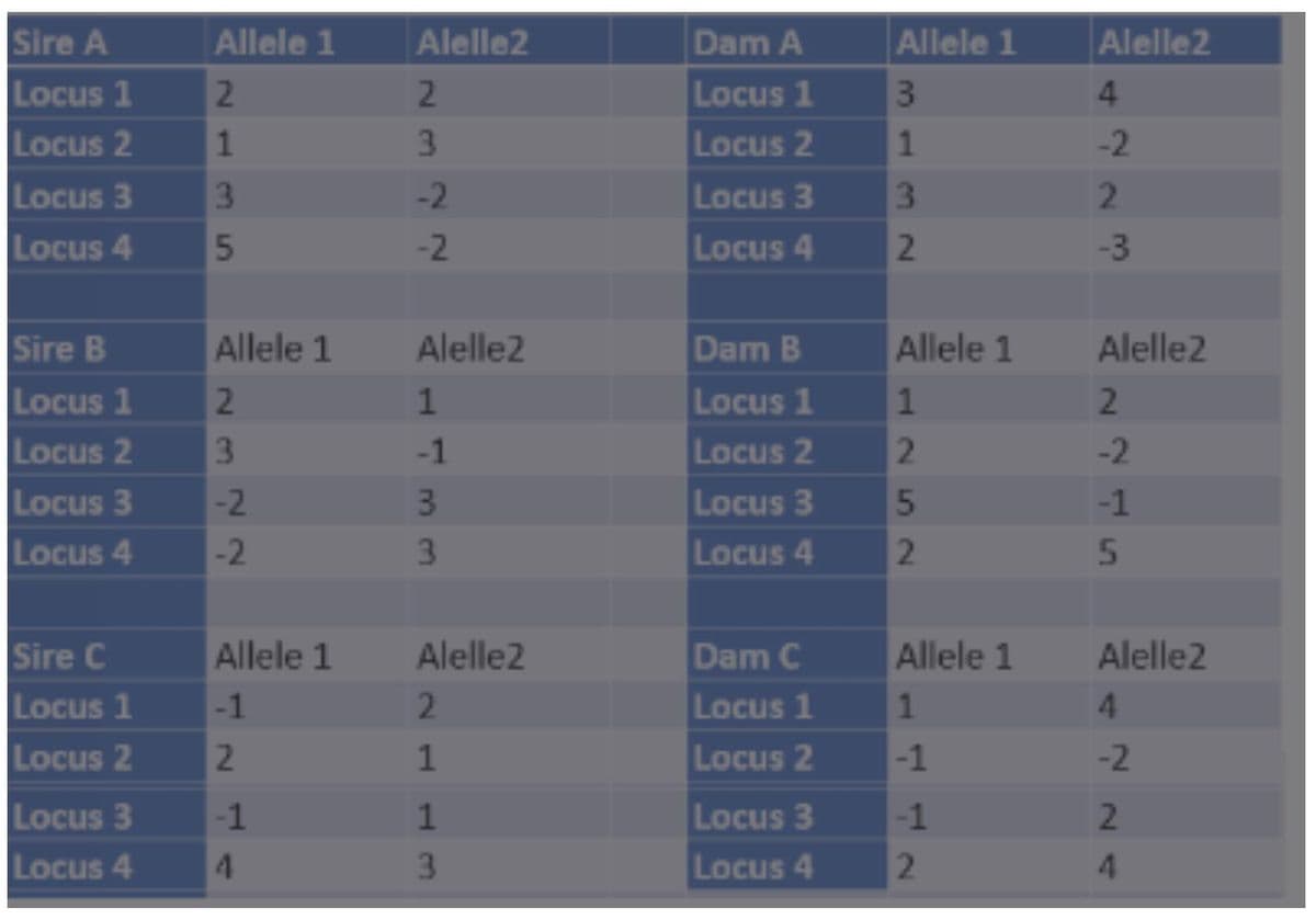 Alelle2
Sire A
Locus 1
Locus 2
Locus 3
Allele 1
Alelle2
Dam A
Allele 1
2.
2.
Locus 1
3.
4.
1.
3.
Locus 2
-2
3\
-2
Locus 3
3\
Locus 4
-2
Locus 4
2
-3
Sire B
Allele 1
Alelle2
Dam B
Allele 1
Alelle2
Locus 1
Locus 2
Locus 3
Locus 4
Locus 1
2.
-1
Locus 2
2.
-2
-2
3
Locus 3
-1
-2
3.
Locus 4
Sire C
Locus 1
Allele 1
Alelle2
Dam C
Allele 1
Alelle2
-1
2.
Locus 1
4
Locus 2
2.
1
Locus 2
-1
-2
Locus 3
4.
-1
Locus 3
-1
2.
Locus 4
3.
Locus 4
4
52
A23
