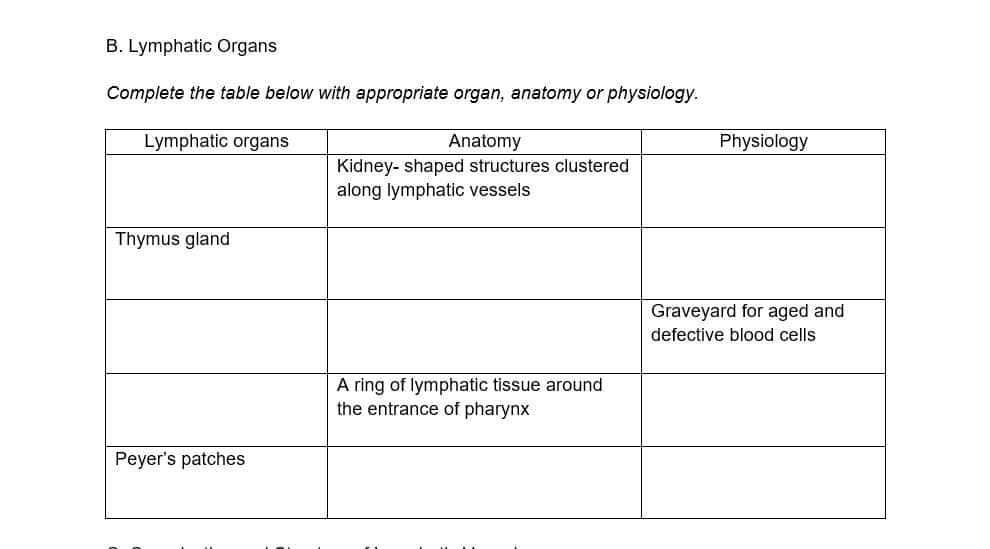 B. Lymphatic Organs
Complete the table below with appropriate organ, anatomy or physiology.
Lymphatic organs
Thymus gland
Peyer's patches
Anatomy
Kidney-shaped structures clustered
along lymphatic vessels
A ring of lymphatic tissue around
the entrance of pharynx
Physiology
Graveyard for aged and
defective blood cells