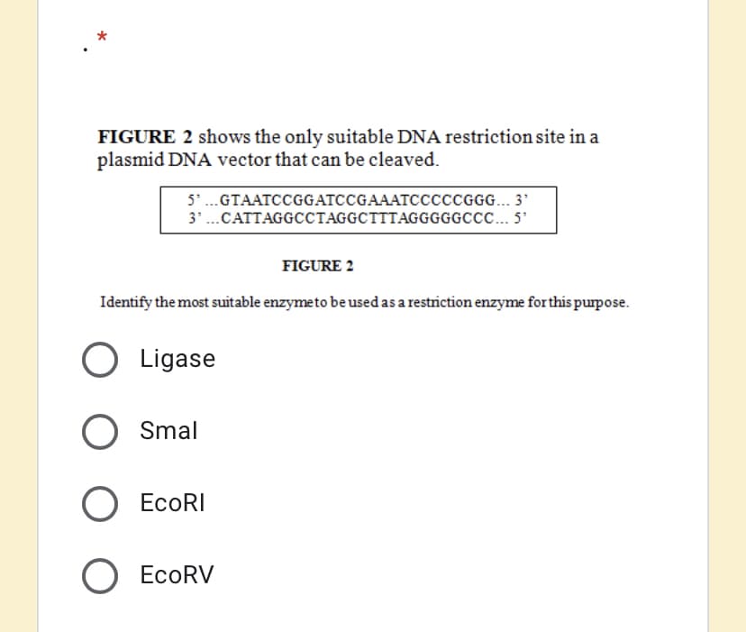 FIGURE 2 shows the only suitable DNA restriction site in a
plasmid DNA vector that can be cleaved.
5'.GTAATCCGGATCCGAAATCCCCCGG... 3'
3.CATTAGGCCTAGGCTTTAGGGGGCCC... 5
FIGURE 2
Identify the most suitable enzymeto be used as a restriction enzyme forthis purpose.
O Ligase
O Smal
O EcoRI
О ЕсoRV
