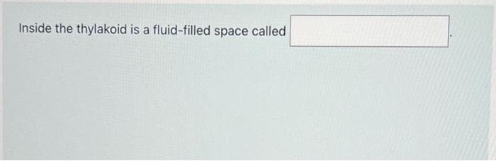 Inside the thylakoid is a fluid-filled space called
