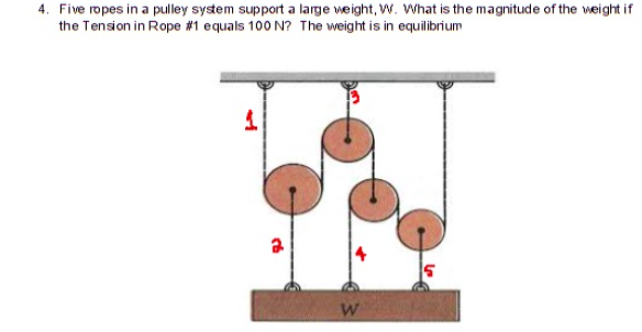 4. Five ropes in a pulley system support a large weight, w. What is the magnitude of the weight if
the Tension in Rope #1 equals 100 N? The weight is in equilibrium
