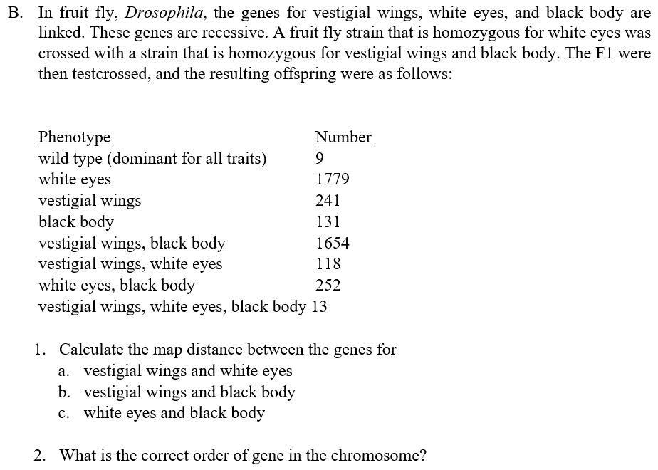 B. In fruit fly, Drosophila, the genes for vestigial wings, white eyes, and black body are
linked. These genes are recessive. A fruit fly strain that is homozygous for white eyes was
crossed with a strain that is homozygous for vestigial wings and black body. The F1 were
then testcrossed, and the resulting offspring were as follows:
Phenotype
Number
wild type (dominant for all traits)
9
white eyes
1779
vestigial wings
241
black body
131
vestigial wings, black body
1654
vestigial wings, white eyes
118
white eyes, black body
252
vestigial wings, white eyes, black body 13
1. Calculate the map distance between the genes for
a. vestigial wings and white eyes
b. vestigial wings and black body
c. white eyes and black body
2. What is the correct order of gene in the chromosome?