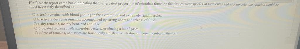 If a forensic report came back indicating that the greatest proportion of microbes found on the tissues were species of firmicutes and ascomycota, the remains would be
most accurately described as
O a. fresh remains, with blood pooling in the extremities and extremely rigid muscles.
Ob.actively decaying remains, accompanied by strong odors and release of fluids.
O c. dry remains, mainly bone and cartilage.
O d.bloated remains, with anaerobic bacteria producing a lot of gases.
O e. loss of remains, no tissues are found, only a high concentration of these microbes in the soil.