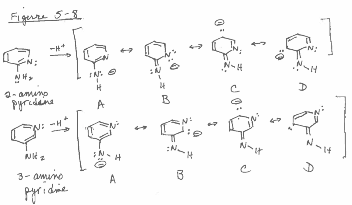 Figure 5-8
∙N:
NH₂
2-amino
-H+
pyridene
-H
Nit z
3-amino
pyridine
:N. O
A
A
B
Q₁0
:N_
B
It
0:
N-H
J0:
N-it
с
47
D
N-It