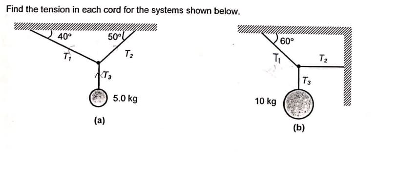 Find the tension in each cord for the systems shown below.
40°
50°L
60°
T2
T2
KT3
T3
5.0 kg
10 kg
(a)
(b)
