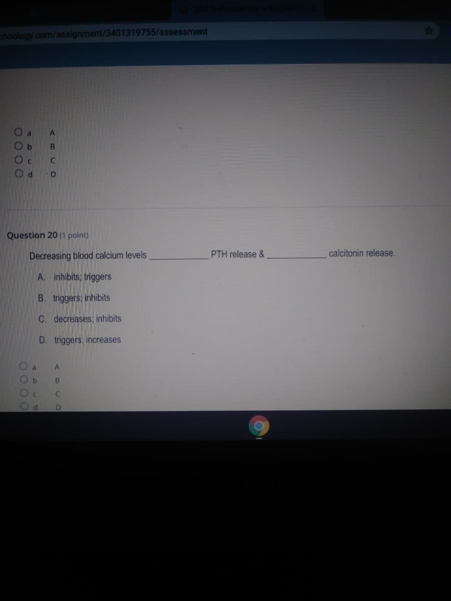 choology.com/assignment/3401319755/assessment
B.
Question 20 (1 point)
Decreasing blood calcium levels
PTH release &
calcitonin release.
A. inhibits; triggers
B. triggers; inhibits
C. decreases; inhibits
D. triggers; increases
a
A
D.
O O 0 O
