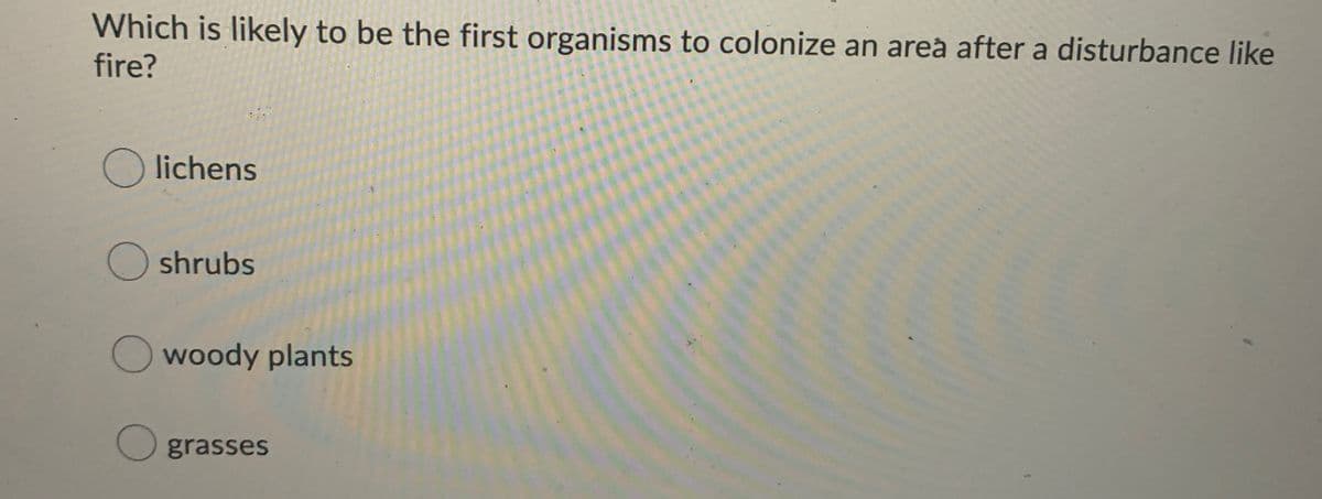 Which is likely to be the first organisms to colonize an areà after a disturbance like
fire?
O lichens
shrubs
O woody plants
O grasses
