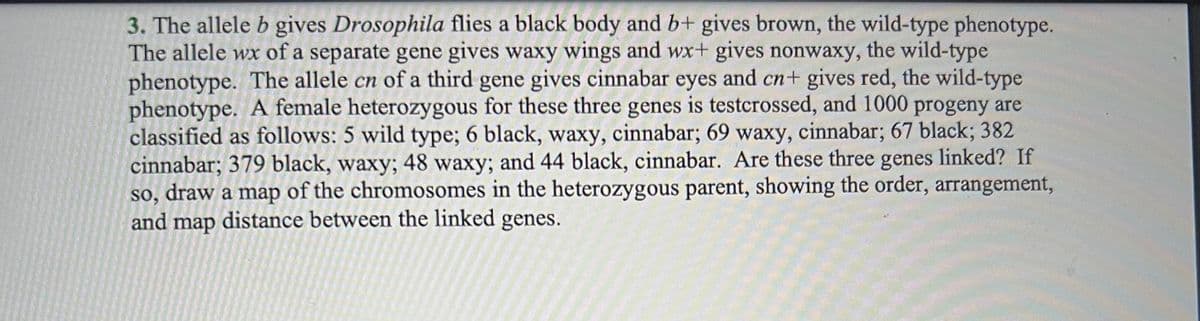 3. The allele b gives Drosophila flies a black body and b+ gives brown, the wild-type phenotype.
The allele wx of a separate gene gives waxy wings and wx+ gives nonwaxy, the wild-type
phenotype. The allele cn of a third gene gives cinnabar eyes and cn+ gives red, the wild-type
phenotype. A female heterozygous for these three genes is testcrossed, and 1000 progeny are
classified as follows: 5 wild type; 6 black, waxy, cinnabar; 69 waxy, cinnabar; 67 black; 382
cinnabar; 379 black, waxy; 48 waxy; and 44 black, cinnabar. Are these three genes linked? If
so, draw a map of the chromosomes in the heterozygous parent, showing the order, arrangement,
and map distance between the linked genes.