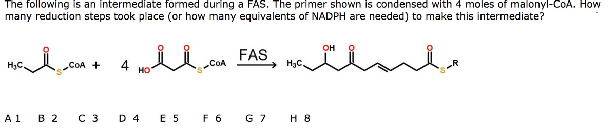 The following is an intermediate formed during a FAS. The primer shown is condensed with 4 moles of malonyl-CoA. How
many reduction steps took place (or how many equivalents of NADPH are needed) to make this intermediate?
OH
FAS
H3C,
COA +
4
COA
→ H3C,
.R
HO
A 1
в 2 сз D 4 E5
F 6 G 7
H 8
