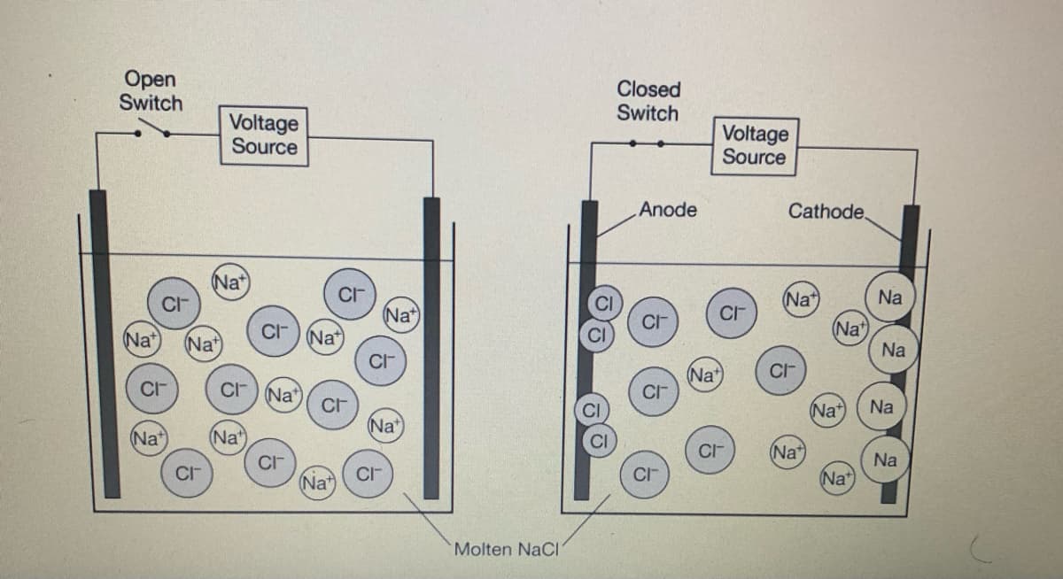 Open
Switch
Closed
Switch
Voltage
Source
Voltage
Source
Anode
Cathode.
(Na*
CI-
Nat
Na
(Na+
Na*
C)Na*
Nat
Nat
Na
C
(Na*)
CI
CF
Na*
Na*)
Na
Na
(Na+
(Na"
CI-
(Na*
CI
Nat
Na
Na*
CI
CI-
Molten NaCI
of

