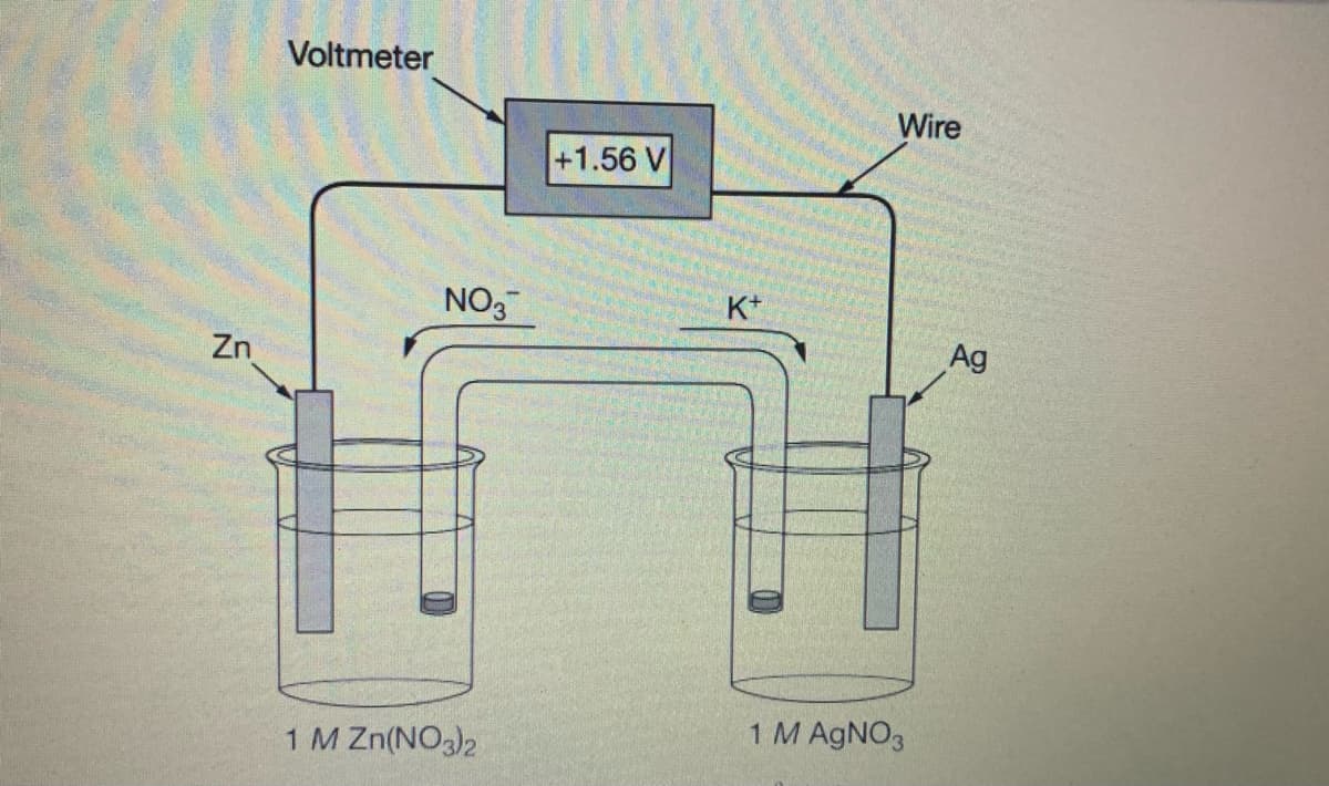 Voltmeter
Wire
+1.56 V
K+
NO3
Ag
Zn
1 M AgNO3
1 M Zn(NO3)2
