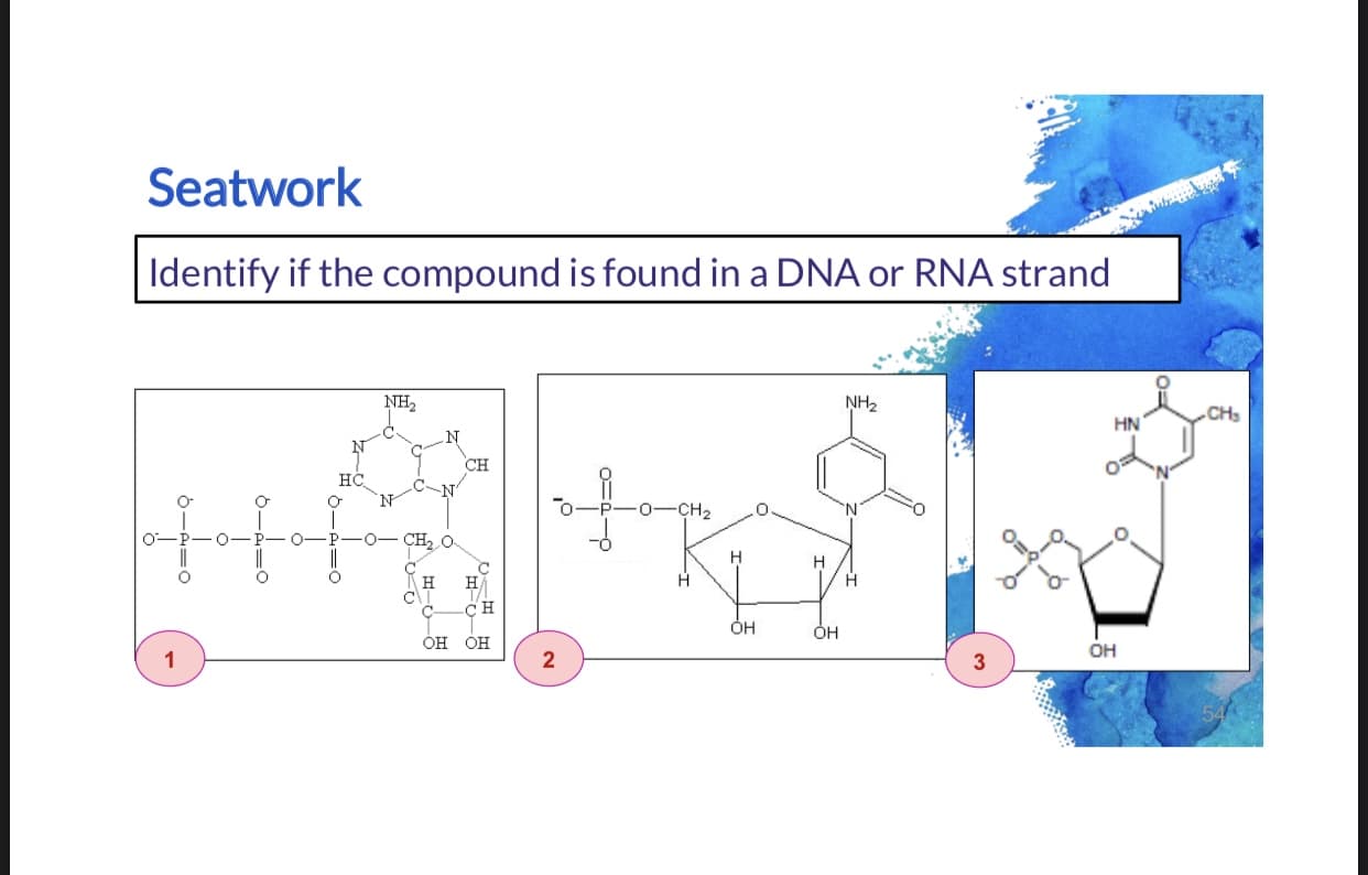 Seatwork
Identify if the compound is found in a DNA or RNA strand
NH2
NH2
CH
HN
CH
нС
N'
CH2
0- CH, O
н
Н
н
ÓH
Он
ОН ОН
OH
