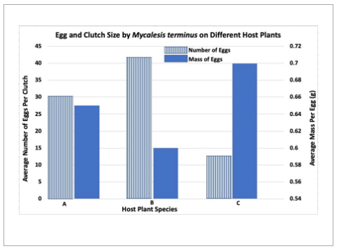 Average Number of Eggs Per Clutch
45
40
35
15
10
Egg and Clutch Size by Mycalesis terminus on Different Host Plants
Number of Eggs
Mass of Eggs
4
Host Plant Species
0.72
0.7
0.68
0.66
0.64
0.62
0.6
0.58
0.56
0.54
Average Mass Per Egg (g)