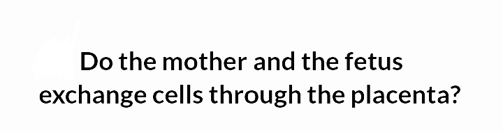 Do the mother and the fetus
exchange cells through the placenta?
