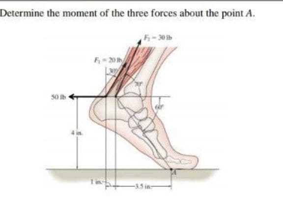Determine the moment of the three forces about the point A.
5-30 b
F = 20 h
50 Ib
-3.5 in-
