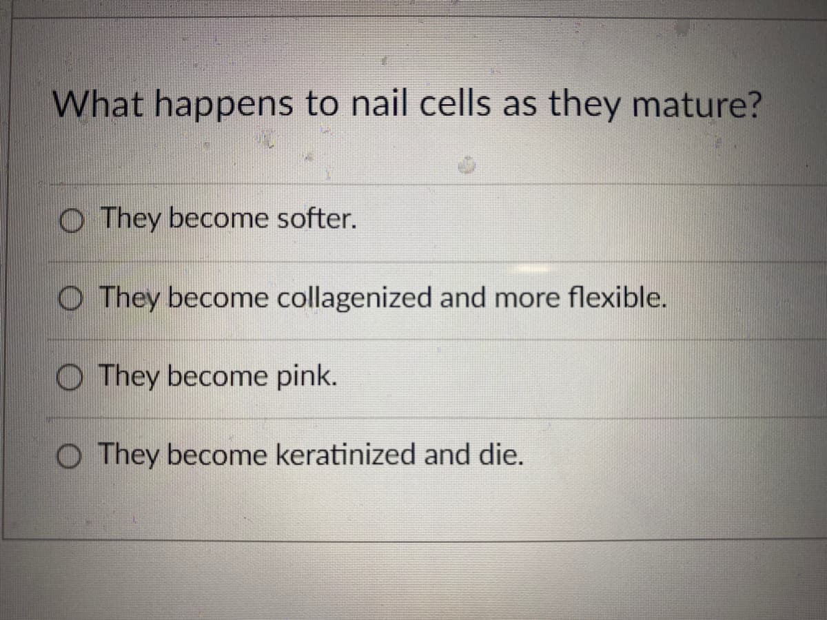 What happens to nail cells as they mature?
They become softer.
O They become collagenized and more flexible.
They become pink.
O They become keratinized and die.