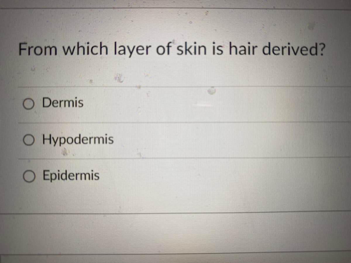 From which layer of skin is hair derived?
O Dermis
O Hypodermis
O Epidermis