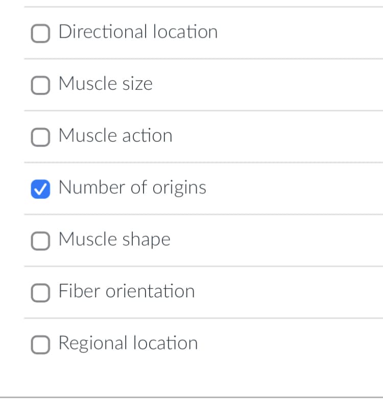 O Directional location
O Muscle size
O Muscle action
✔Number of origins
O Muscle shape
O Fiber orientation
Regional location