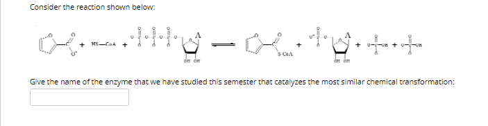Consider the reaction shown below:
HS-CuA +
SCOA
on óm
Give the name of the enzyme that we have studied this semester that catalyzes the most similar chemical transformation:
