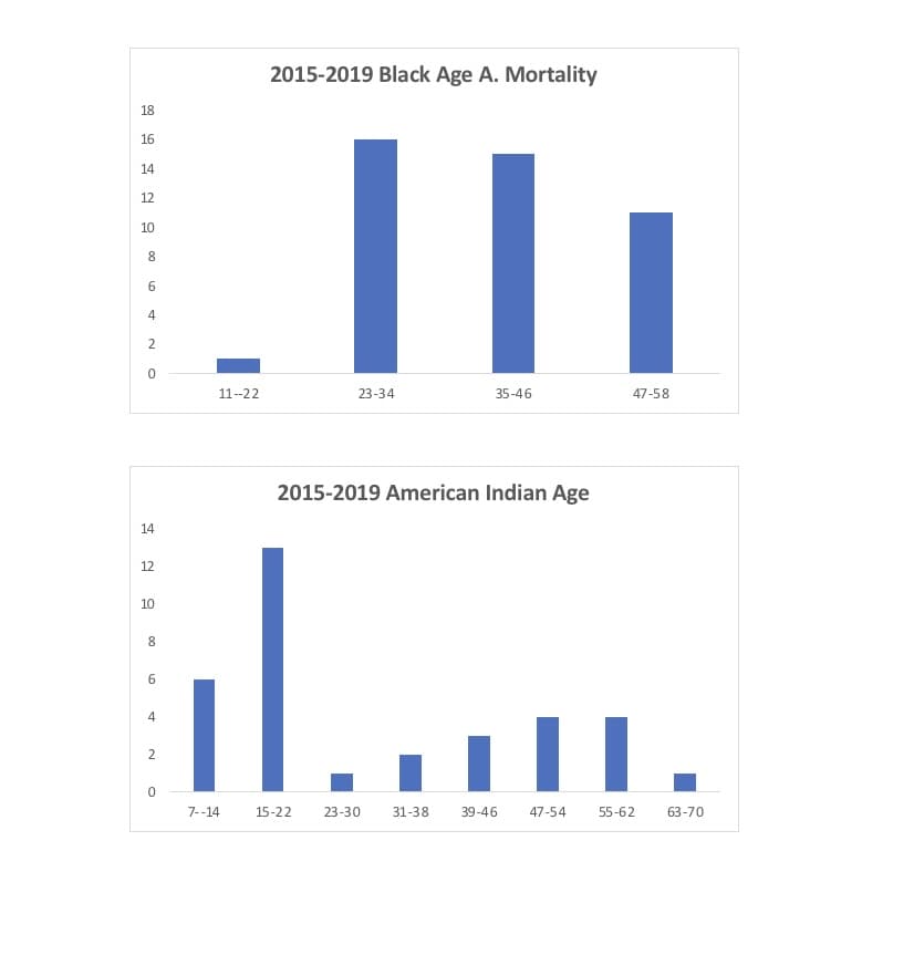 2015-2019 Black Age A. Mortality
18
16
14
12
10
8.
6
11--22
23-34
35-46
47-58
2015-2019 American Indian Age
14
12
10
4
7--14
15-22
23-30
31-38
39-46
47-54
55-62
63-70
00
4.
00
