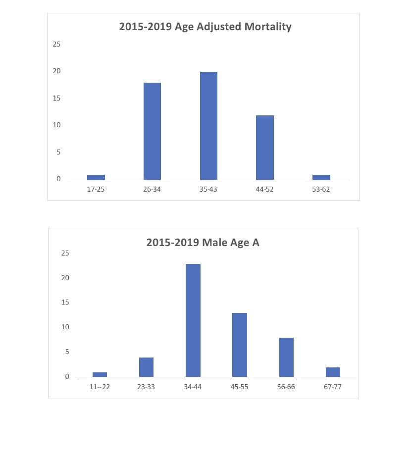 2015-2019 Age Adjusted Mortality
25
20
15
10
17-25
26-34
35-43
44-52
53-62
2015-2019 Male Age A
25
20
15
10
11-22
23-33
34-44
45-55
56-66
67-77
