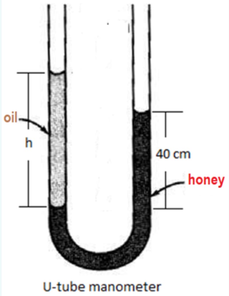 oil.
h
40 cm
honey
U-tube manometer
