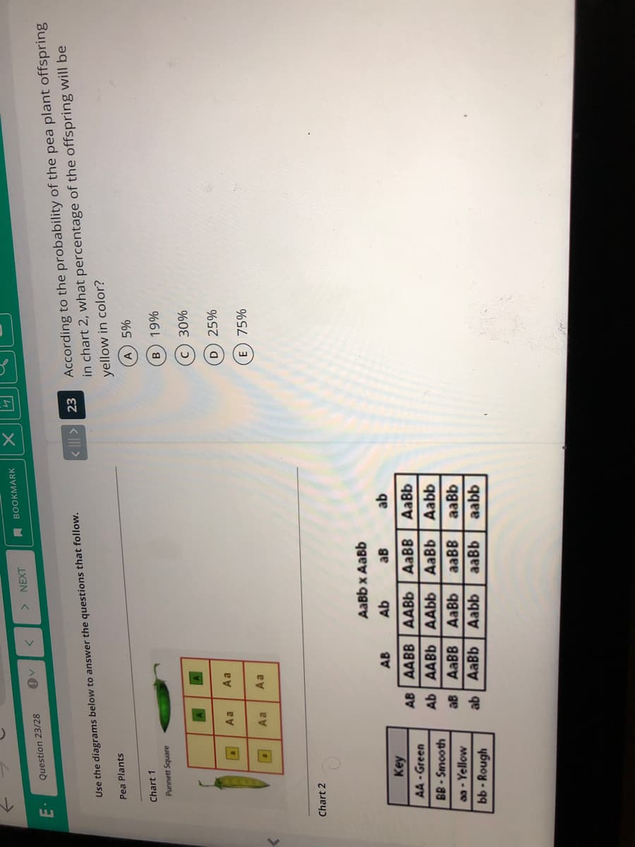 A BOOKMARK
> NEXT
Question 23/28
E.
According to the probability of the pea plant offspring
in chart 2, what percentage of the offspring will be
yellow in color?
< || > 23
Use the diagrams below to answer the questions that follow.
Pea Plants
Chart 1
Punnett Square
B
Aa
D 25%
A a
E 75%
Aa
Aa
Chart 2
AaBb x AaBb
AB
Ab
aB
ab
Key
AB AABB AABB AABB
Ab AABB AAbb AaBb
AA - Green
AaBb
BB- Smooth
Aabb
aB AABB
AaBb
aaBB
aaBb
a-Yellow
bb - Rough
AaBb
qe
Aabb
aaBb
aabb
