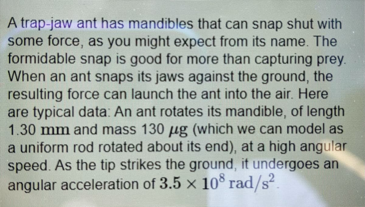 A trap-jaw ant has mandibles that can snap shut with
some force, as you might expect from its name. The
formidable snap is good for more than capturing prey.
When an ant snaps its jaws against the ground, the
resulting force can launch the ant into the air. Here
are typical data: An ant rotates its mandible, of length
1.30 mm and mass 130 g (which we can model as
a uniform rod rotated about its end), at a high angular
speed. As the tip strikes the ground, it undergoes an
angular acceleration of 3.5 x 10° rad/s².
