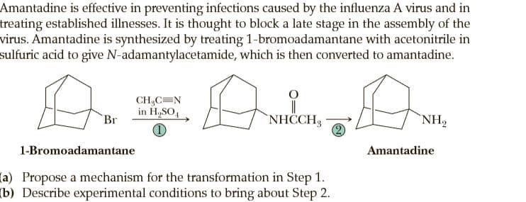 Amantadine is effective in preventing infections caused by the influenza A virus and in
treating established illnesses. It is thought to block a late stage in the assembly of the
virus. Amantadine is synthesized by treating 1-bromoadamantane with acetonitrile in
sulfuric acid to give N-adamantylacetamide, which is then converted to amantadine.
CH,C=N
in H,SO,
Br
NHCCH3
NH2
1-Bromoadamantane
Amantadine
(a) Propose a mechanism for the transformation in Step 1.
(b) Describe experimental conditions to bring about Step 2.
