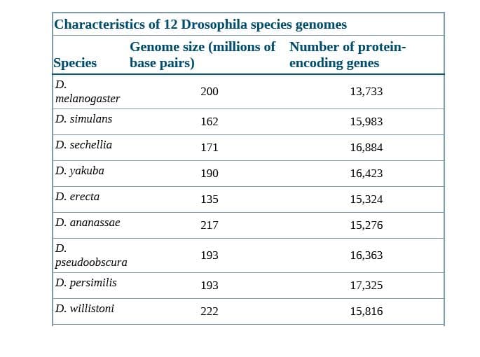 Characteristics of 12 Drosophila species genomes
Species
Genome size (millions of Number of protein-
base pairs)
encoding genes
D.
melanogaster
200
13,733
D. simulans
15,983
162
D. sechellia
171
16,884
D. yakuba
190
16,423
D. erecta
135
15,324
D. ananassae
217
15,276
D.
pseudoobscura
D. persimilis
193
16,363
193
17,325
D. willistoni
222
15,816
