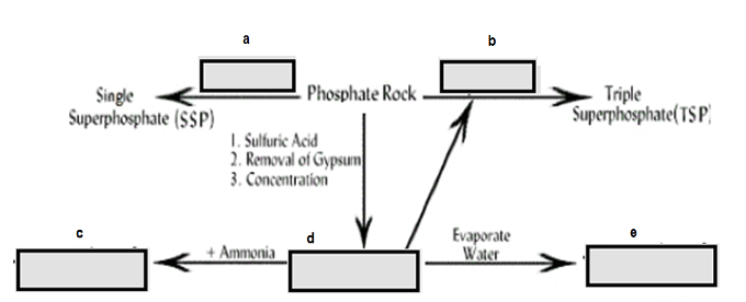 Single
Superphosphate (SSP)
C
Phosphate Rock
1. Sulfuric Acid
2. Removal of Gypsum
3. Concentration
+ Ammonia
d
Evaporate
Water
Triple
Superphosphate(TSP)