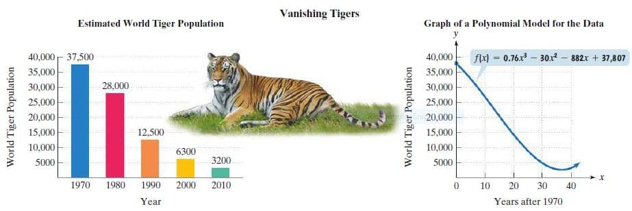 Vanishing Tigers
Estimated World Tiger Population
Graph of a Polynomial Model for the Data
40,000- 37,500
40,000
flx) = 0.76.x – 30.x2 – 882x + 37,807
35,000
35,000
30,000
28,000
30,000
25,000
25,000
20,000
uSni 20,000
15,000
12,500
15,000
10,000
10,000
6300
5000
3200
5000
1970
1980
1990
2000
2010
10
20
30
40
Year
Years after 1970
World Tiger Population
World Tiger Population
