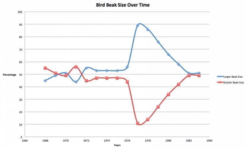 Bird Beak Size Over Time
100
90
80
70
60
Percentage 50
"Larger Beak Size
Smaller Beak Size
40
30
20
10
1966
1968
1970
1972
1974
1976
1978
1980
1982
1984
Years
