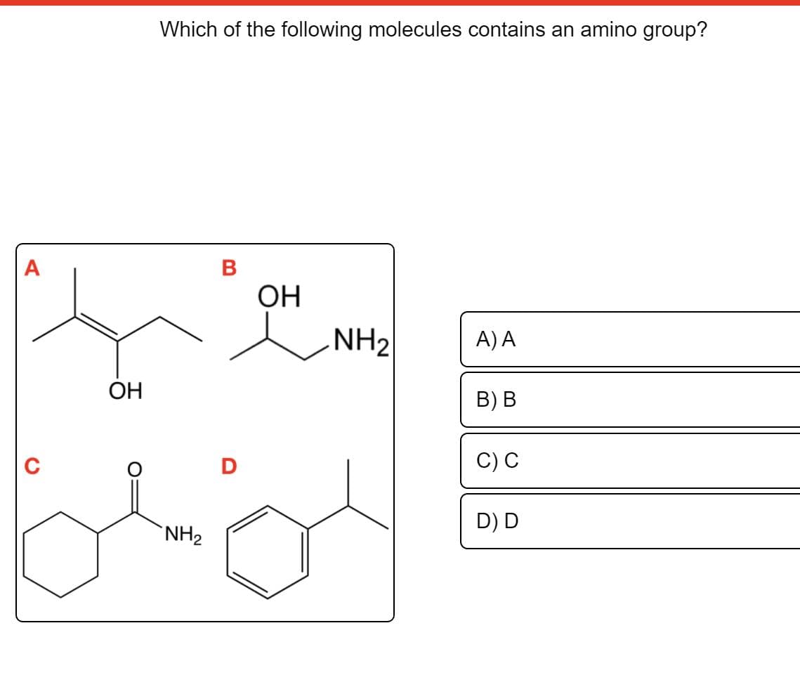 Which of the following molecules contains an amino group?
A
В
OH
L NH2
A) A
ОН
В) В
C) C
D) D
`NH2
