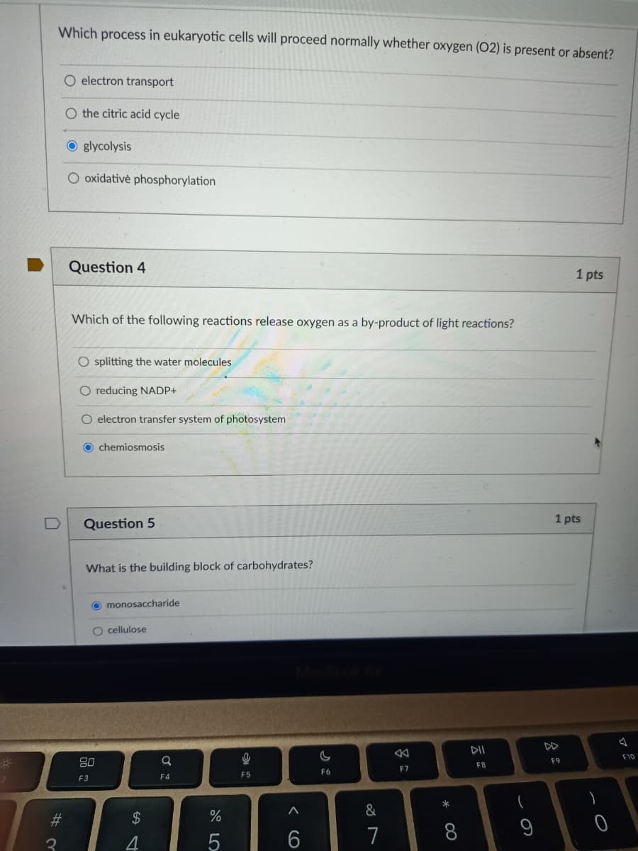 Which process in eukaryotic cells will proceed normally whether oxygen (O2) is present or absent?
O electron transport
O the citric acid cycle
O glycolysis
O oxidativè phosphorylation
Question 4
1 pts
Which of the following reactions release oxygen as a by-product of light reactions?
O splitting the water molecules
O reducing NADP+
O electron transfer system of photosystem
O chemiosmosis
1 pts
Question 5
What is the building block of carbohydrates?
O monosaccharide
cellulose
DII
DD
F10
80
F8
F9
F7
F6
F3
F4
F5
&
23
2$
7
3
4
* C0
< CO
